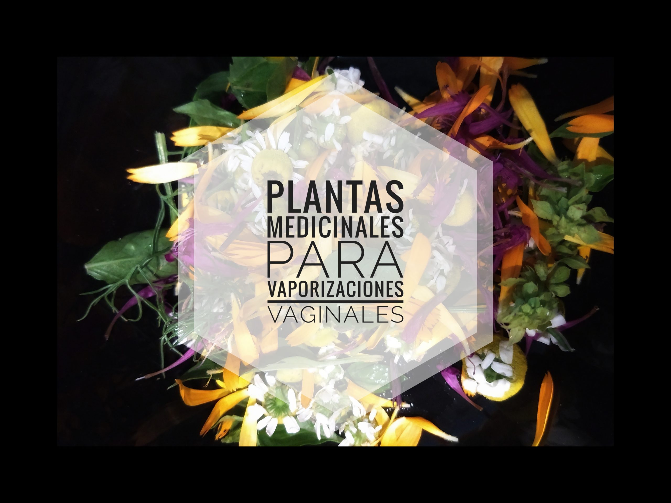 Plantas medicinales para vaporizaciones vaginales – Lila Guerrero