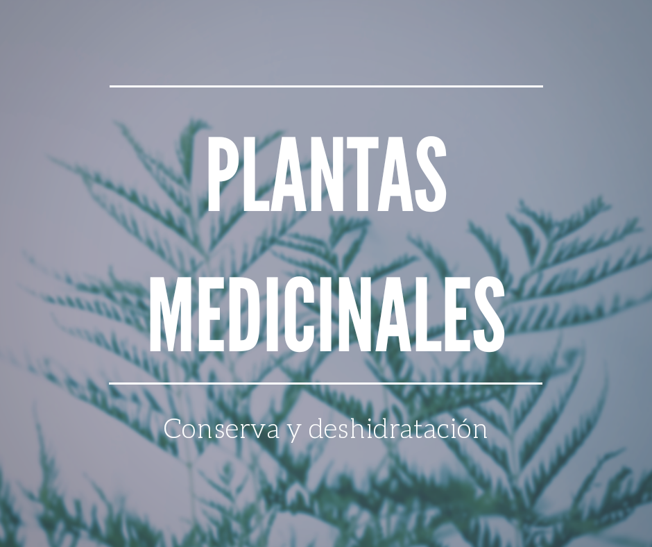 Conserva y deshidratación de plantas medicinales