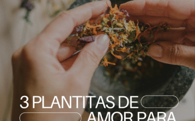 3 Plantitas de amor para la barriga y el corazón.