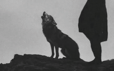 Creencias limitantes sobre la energía femenina que debes soltar hoy